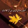 kareemkhaled04