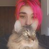 kittykatcobra
