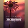 robiatuladawiyah206