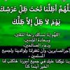 user1666306