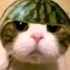 haiii_i__
