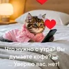 user12233495
