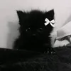 ksenia_bol