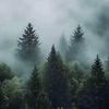 dav_0511