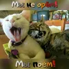 pikme_reptilii1