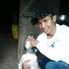 dsdaer