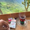 masdhanu22