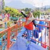 delfifitria