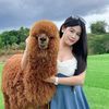 biwty.apinya