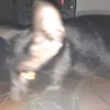 tayuy_