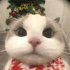 vananh_2k5