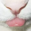 _kitty133_