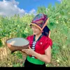 tongthilandiep