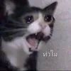 hqwertyuiopasdfg