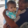 aristea10
