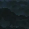 damzo.17