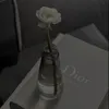 .mlt.13