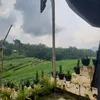 naylaraishaanaksolehah
