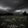 sscarlett09_