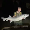 ukcarpfishermen