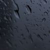 blublu_._1