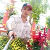 haunguyen530