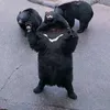 マル梅🐻🐾