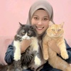 JUJU / MAK KUCING