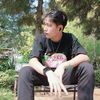 sir_gnot