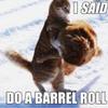 do_a_barrel_roll88