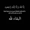 ws__h96