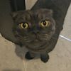 bigboyfrankie_
