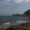 l_m_lainevool