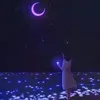 30363092881