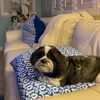 debbie_mardesich