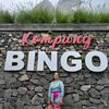 darmini29