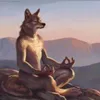 _hoquynhnhu05
