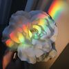 sarah_aesthetics12