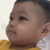 fengfeng99