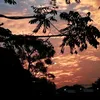 tagar_tegar
