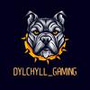 dylchyll