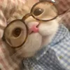 hhungt2