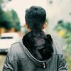 agaesix