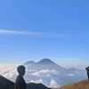 lians_z7