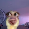 _sffgtfb23