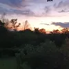 matvey_jr19