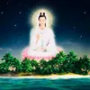 anlanh9295
