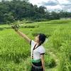 phuongnhung6886