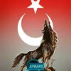 aybars37
