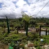 cuoi_garden